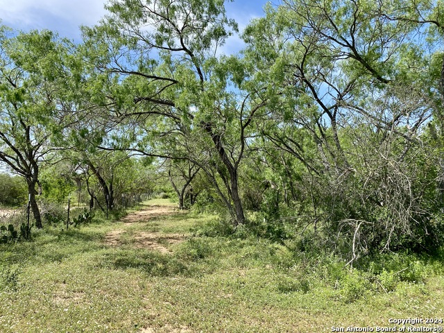 Image 9 of 34 For Tbd Dairy Road