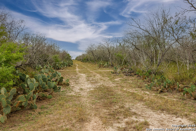 Listing photo id 9 for Tbd Hwy 239  