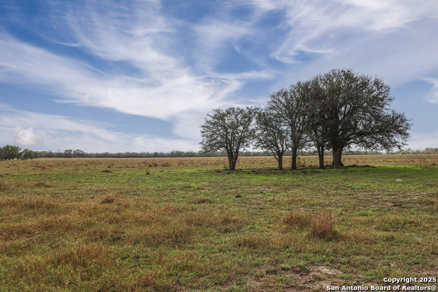 Listing photo id 5 for Tbd Hwy 239  