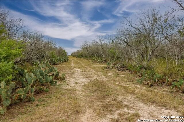 Details for Tbd Pierce Road, Goliad, TX 77963