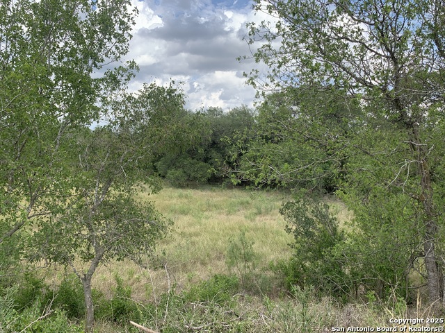 Details for Lot-1 River Bluff, Castroville, TX 78009