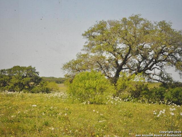 Image 2 of 5 For Tbd Cr 2615  