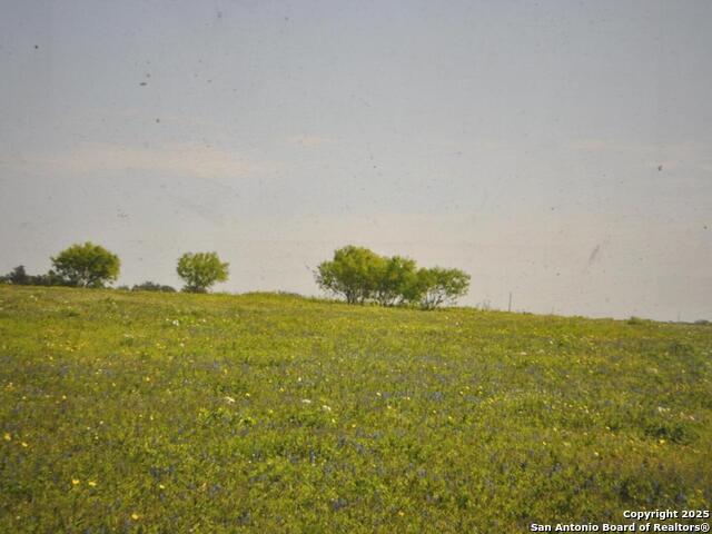 Image 5 of 5 For Tbd Cr 2615  