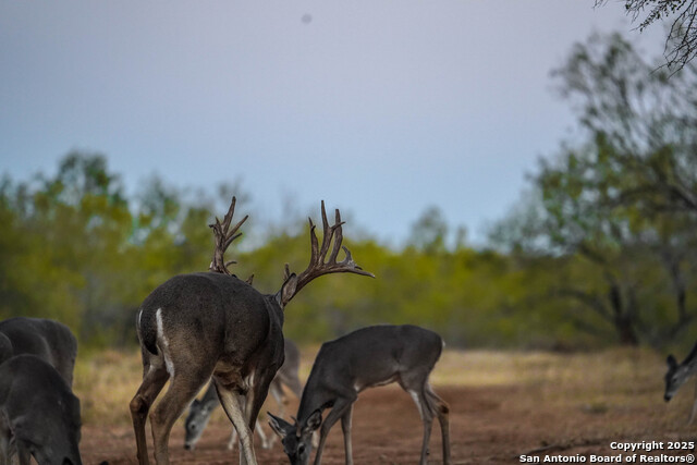 Image 100 of 120 For 9239 Fm 133  