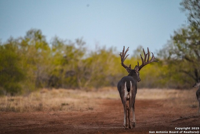 Image 102 of 120 For 9239 Fm 133  