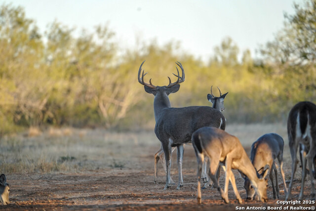 Image 103 of 120 For 9239 Fm 133  