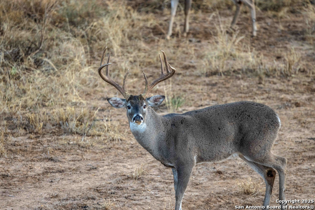 Image 104 of 120 For 9239 Fm 133  