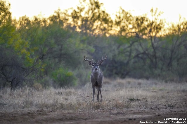 Image 105 of 120 For 9239 Fm 133  