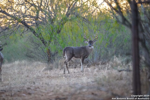 Image 106 of 120 For 9239 Fm 133  