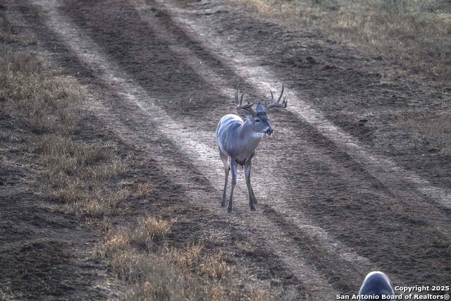 Image 107 of 120 For 9239 Fm 133  