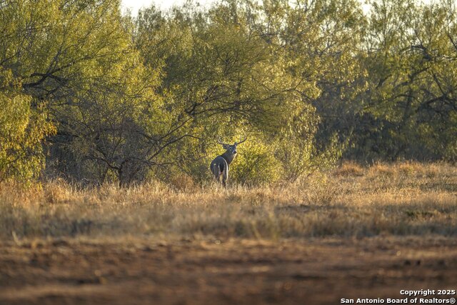 Image 108 of 120 For 9239 Fm 133  