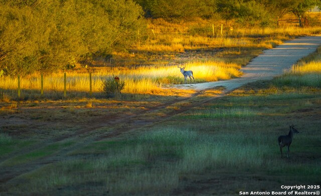 Image 109 of 120 For 9239 Fm 133  