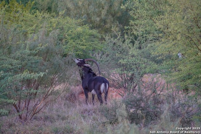 Image 110 of 120 For 9239 Fm 133  