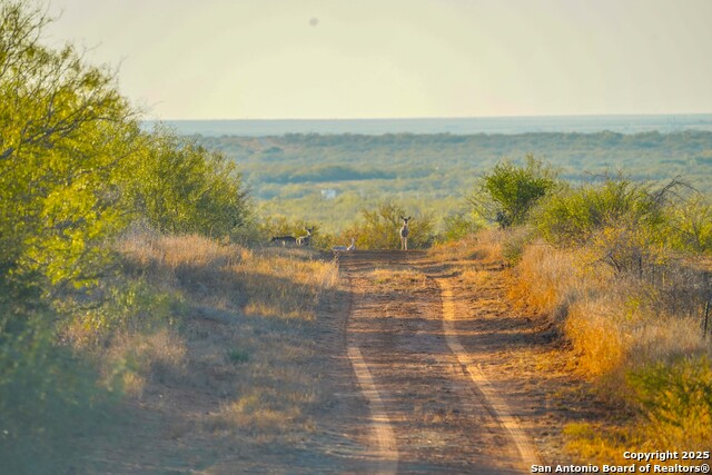 Image 19 of 120 For 9239 Fm 133  