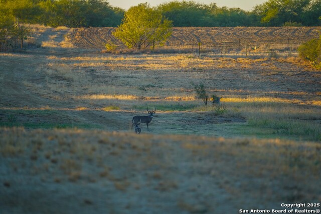 Image 20 of 120 For 9239 Fm 133  