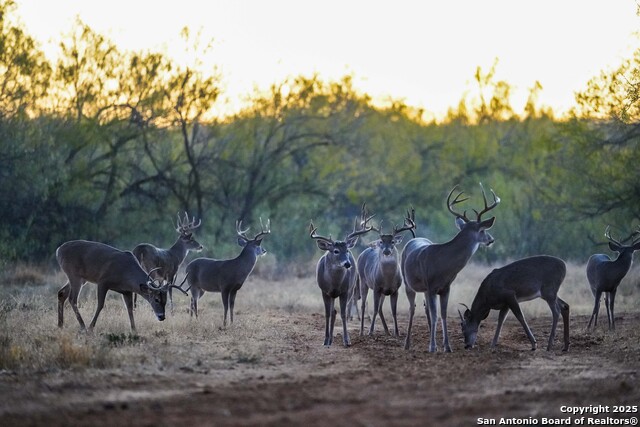 Image 21 of 120 For 9239 Fm 133  