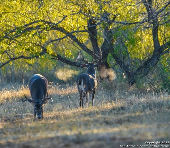 Image 22 of 120 For 9239 Fm 133  