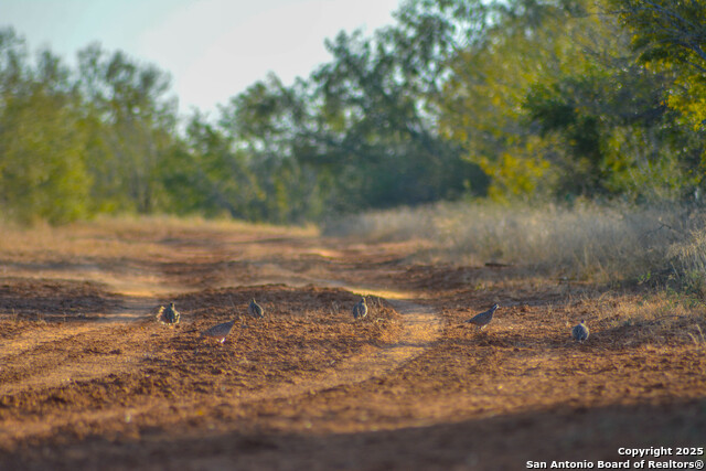 Image 87 of 120 For 9239 Fm 133  