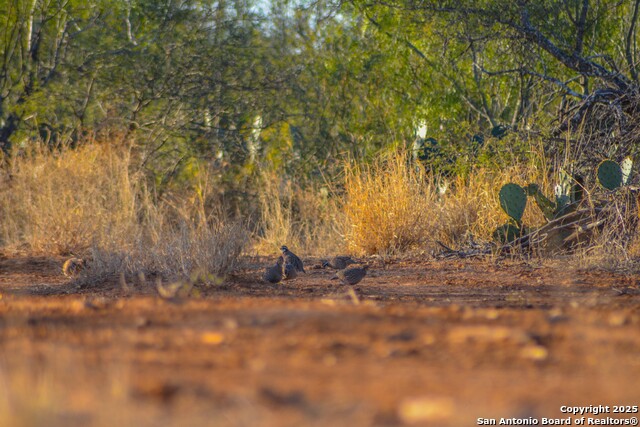 Image 88 of 120 For 9239 Fm 133  