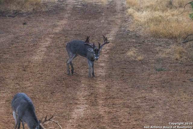 Image 90 of 120 For 9239 Fm 133  