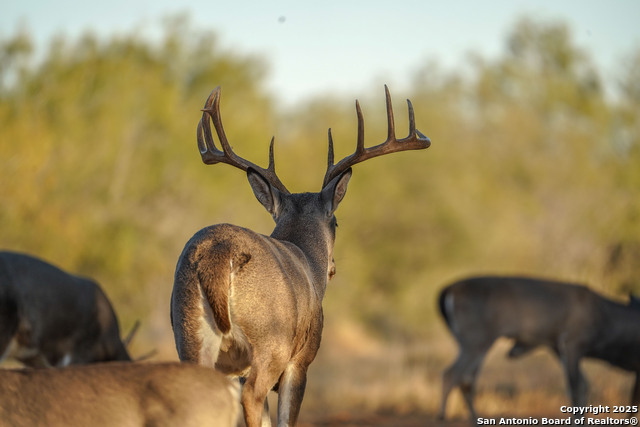 Image 91 of 120 For 9239 Fm 133  