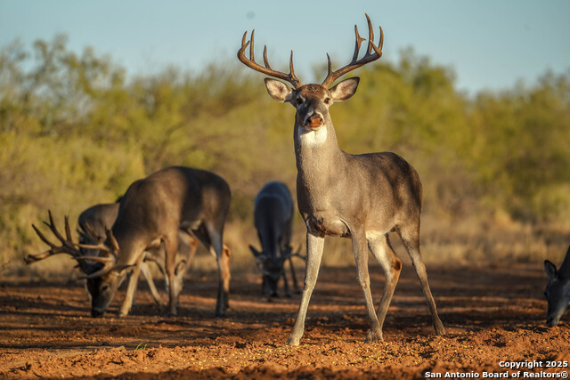 Image 92 of 120 For 9239 Fm 133  