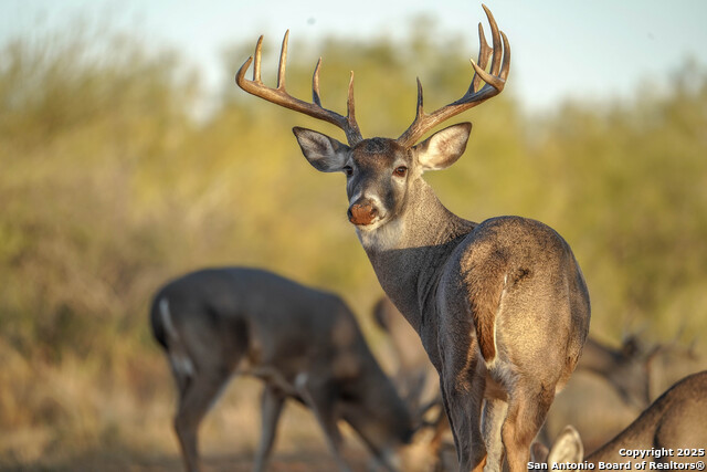 Image 93 of 120 For 9239 Fm 133  