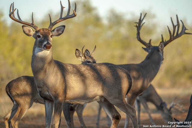 Image 94 of 120 For 9239 Fm 133  