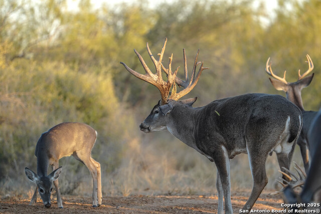 Image 96 of 120 For 9239 Fm 133  