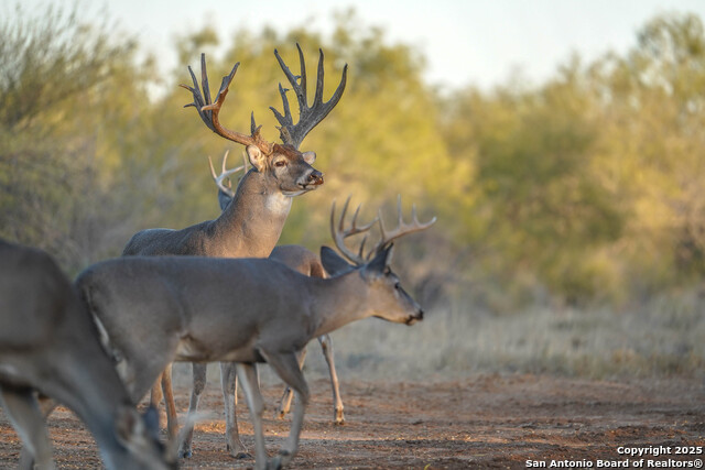 Image 97 of 120 For 9239 Fm 133  