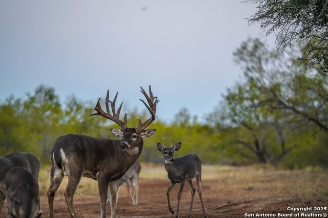 Image 99 of 120 For 9239 Fm 133  