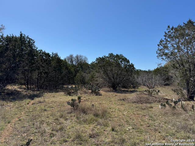 Image 2 of 8 For 000 Saddle Trl