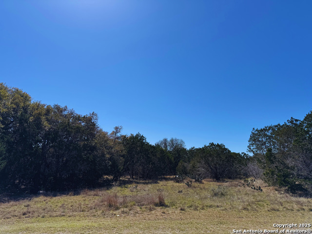 Image 3 of 8 For 000 Saddle Trl