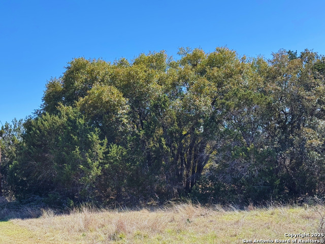 Image 4 of 8 For 000 Saddle Trl