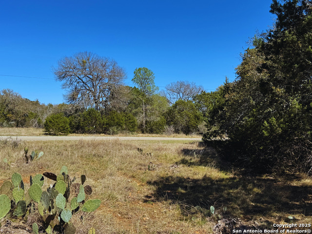 Image 5 of 8 For 000 Saddle Trl