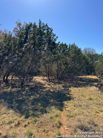 Image 6 of 8 For 000 Saddle Trl