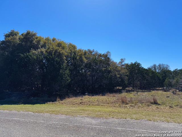 Image 7 of 8 For 000 Saddle Trl