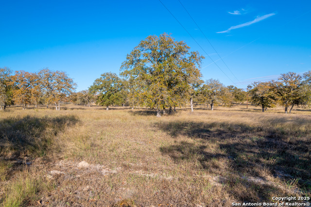 Listing photo id 26 for 847 Littlehorn Ln