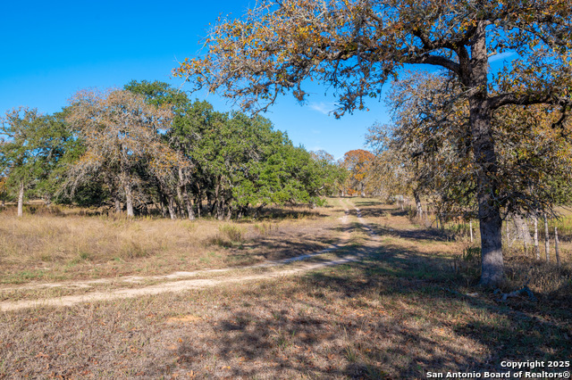 Listing photo id 29 for 847 Littlehorn Ln