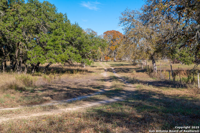 Listing photo id 4 for 847 Littlehorn Ln