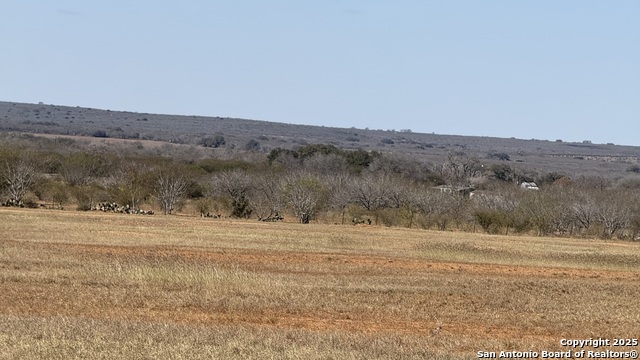 Image 8 of 9 For 884 County Road 669