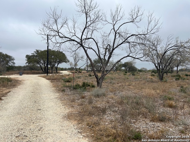 Details for 195 Pr 6623  , Devine, TX 78016