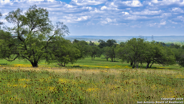 Details for Lot20 Oak Mott Rd, Comfort, TX 78013