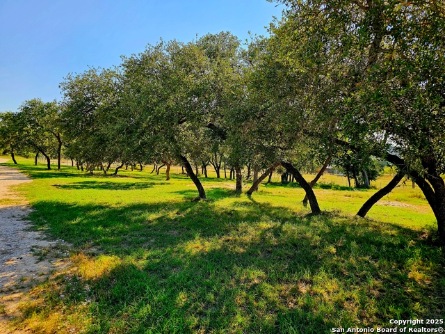 Listing photo id 1 for 180 Hondo Spur