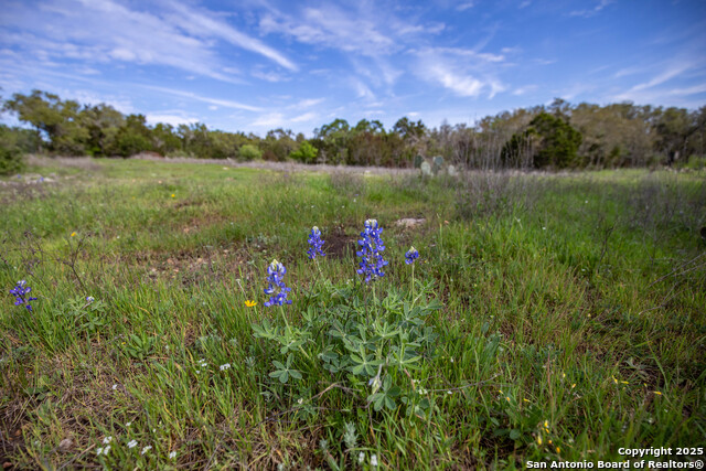 Listing photo id 43 for 0 Hugo Road  