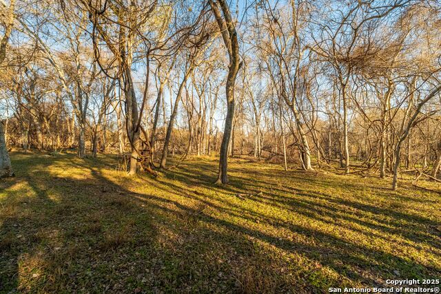 Image 42 of 43 For 1666 County Road 106