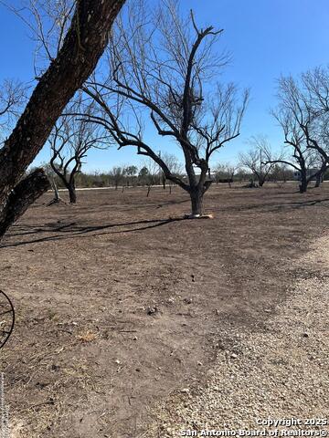 Listing photo id 19 for 1509 Westward Trl