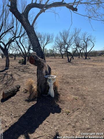 Listing photo id 20 for 1509 Westward Trl