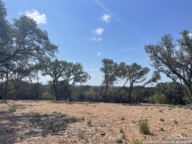 Details for Lot 119 Grand Oaks, Hondo, TX 78861