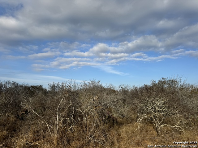 Image 11 of 33 For Tbd County Road 765